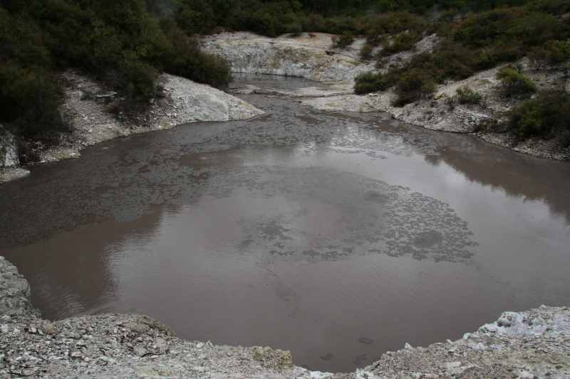 Nieuw-Zeeland 2011 - 0748